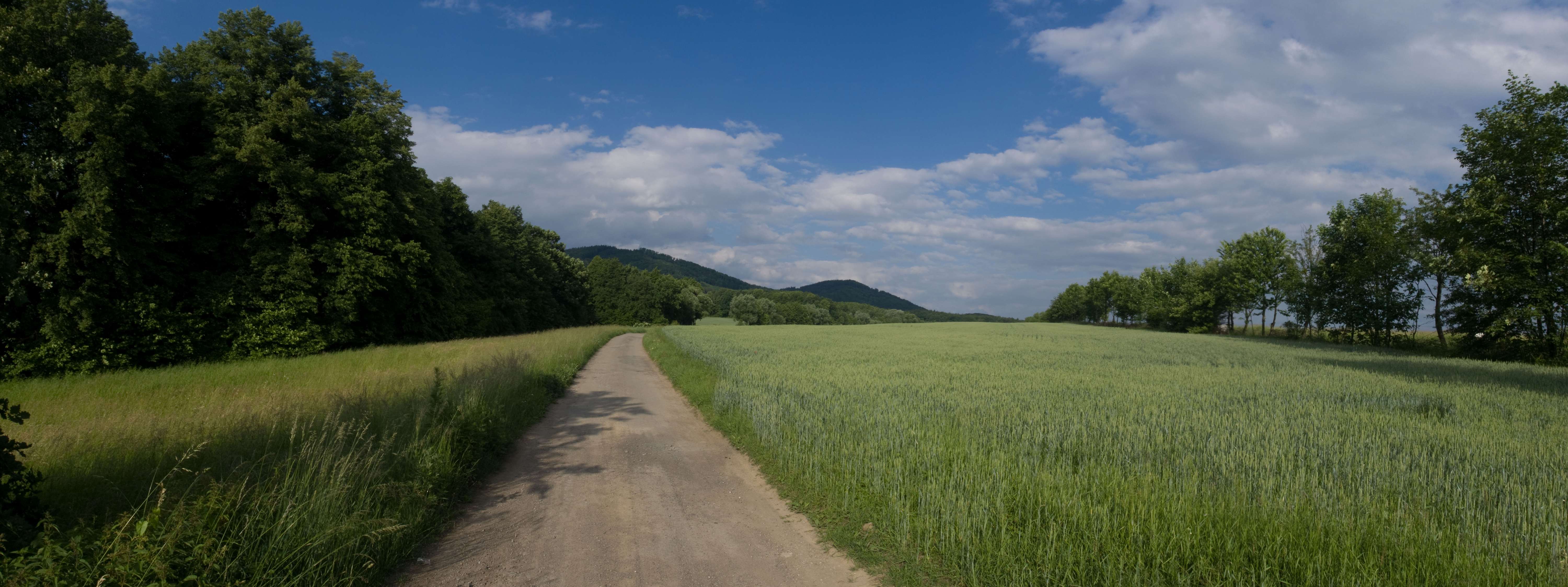 Příroda-14.jpg