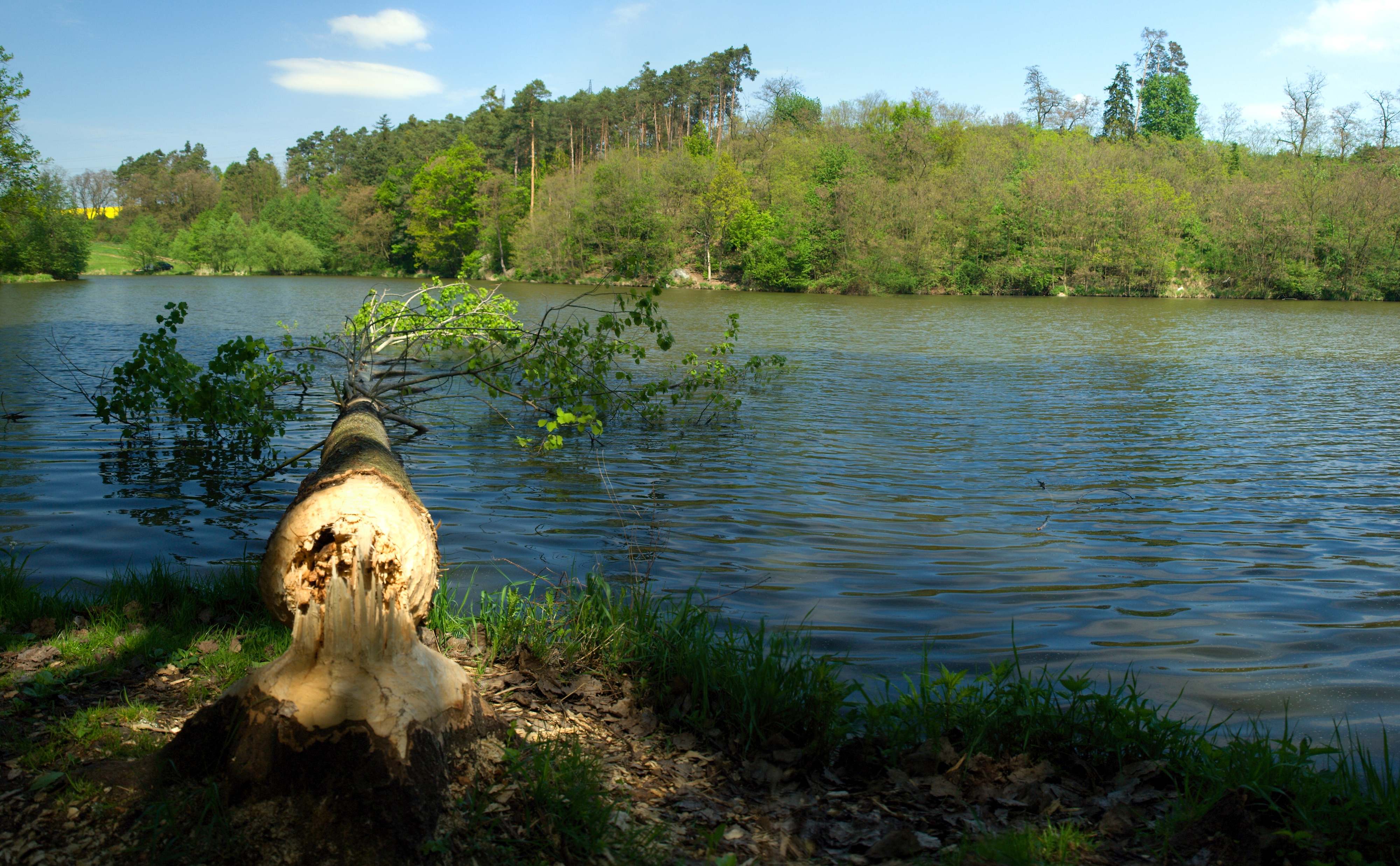Příroda-17.jpg