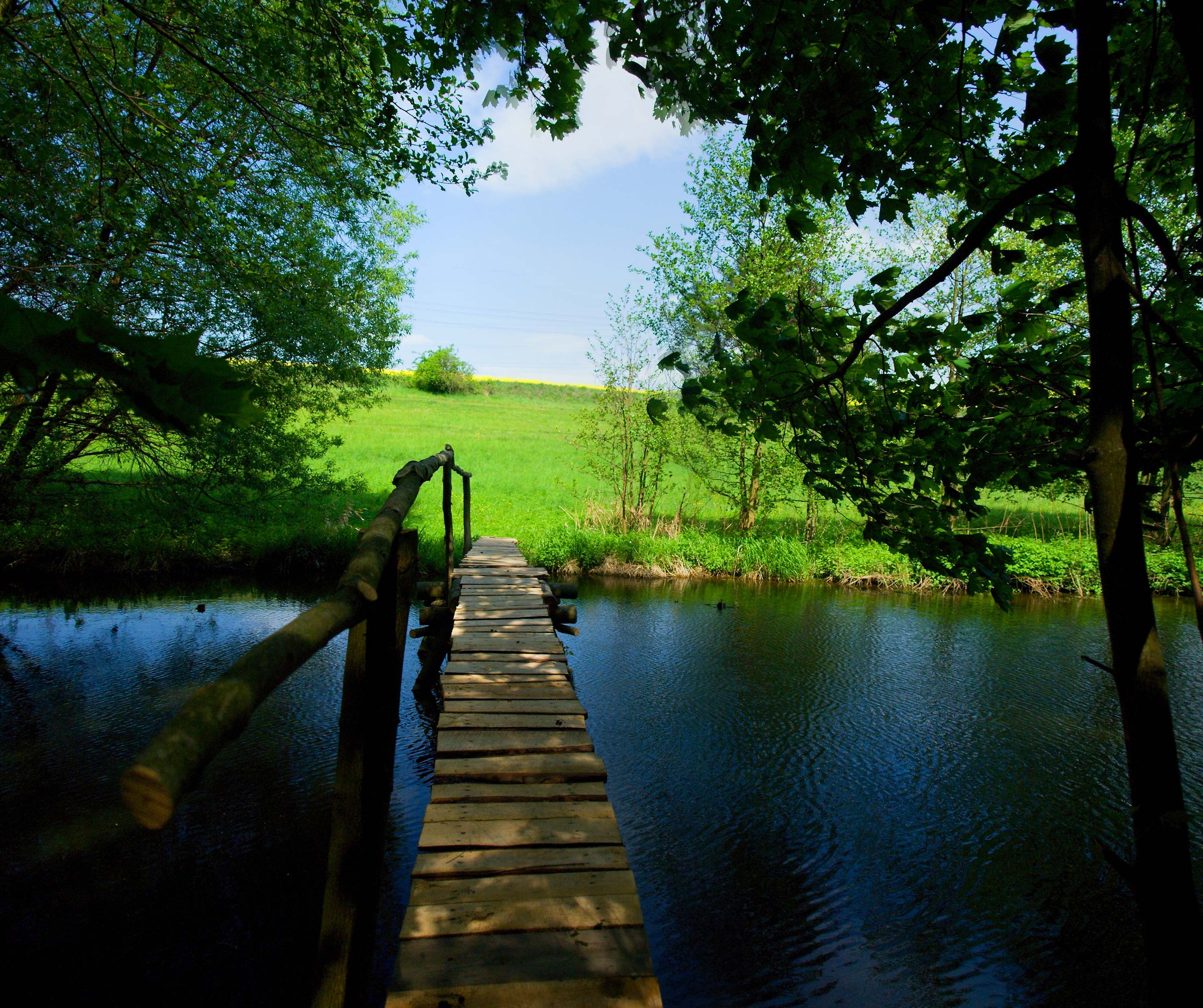 Příroda-18.jpg